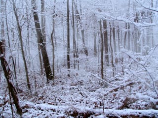 2006-02-11-16h37m27.jpg