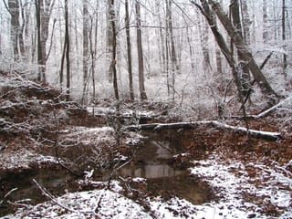 2006-02-11-18h05m05.jpg