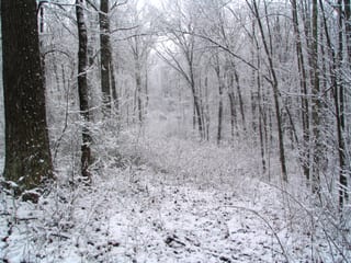2006-02-11-18h14m45.jpg