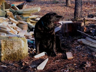 2006-03-26-00h54m09.JPG