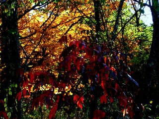 2007-10-19-21h54m25.JPG