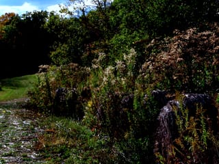 2007-10-19-22h01m23.JPG