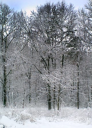2008-10-04-15h56m29-1.jpg