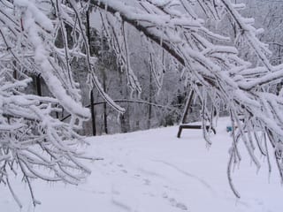 2009-01-28-23h03m05.JPG