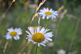2012-06-15-19h27m00.JPG