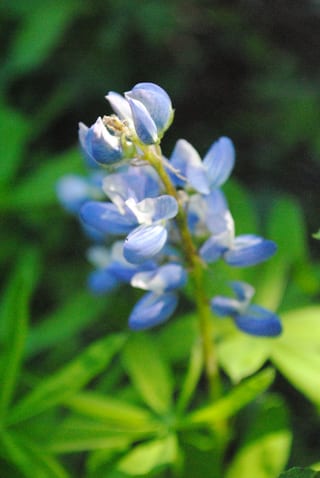 2014-07-26-19h04m23.JPG