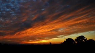 2018-07-07-20h48m45-1.JPG