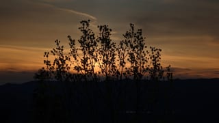 2023-04-22-19h42m54.jpg