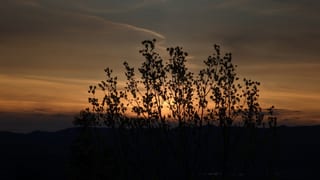 2023-04-22 19-42-53 - PXL_20230423_024253186.MP.jpg