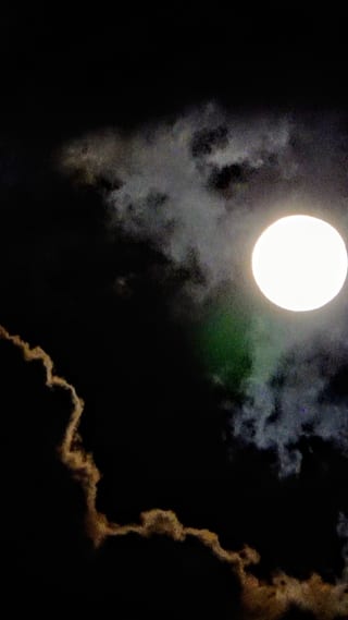 2023-05-01-10h48m36.jpg