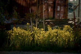 2023-05-20-19h58m57.jpg