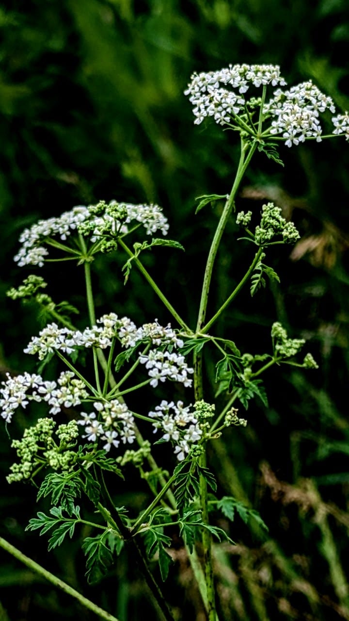 230620_0163.jpg