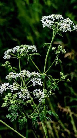 230620_0163.jpg