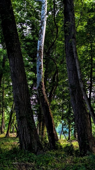 230620_0165.jpg