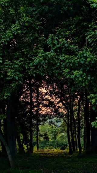 230620_0167.jpg