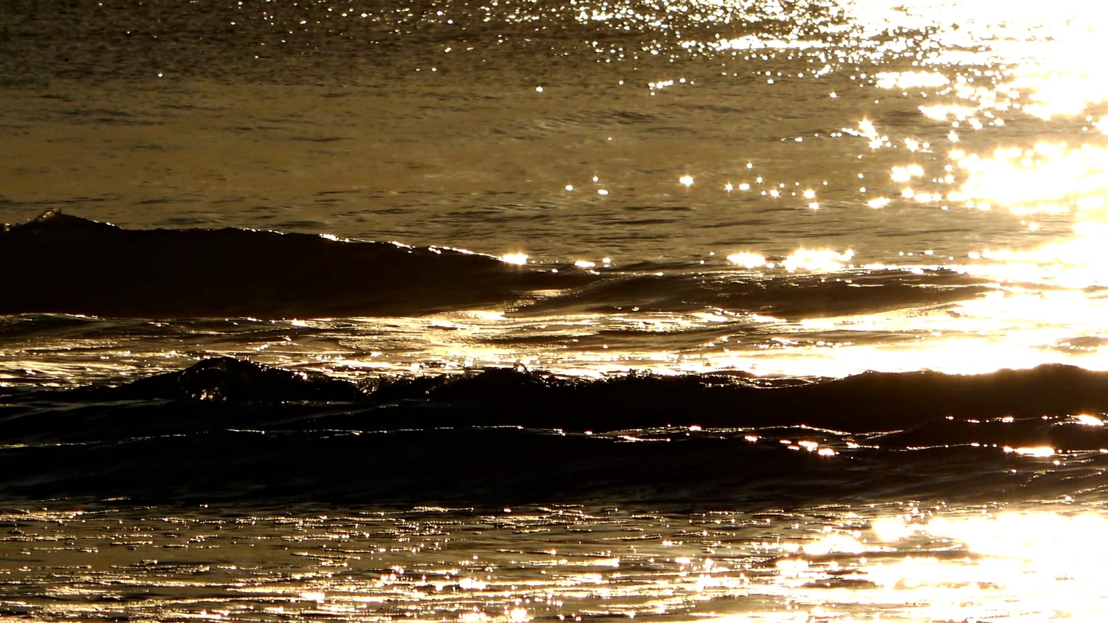 GoldenSurf.230330.1.1.jpg