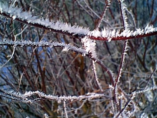 Snow.Untitled-014.jpg