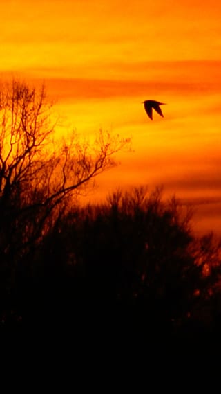 Sunset-20230121T215509.jpg