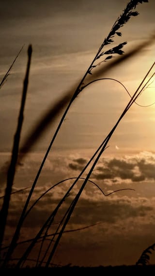 Sunset-20230129T194351.jpg