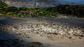 Surf.230930.2.a.jpg